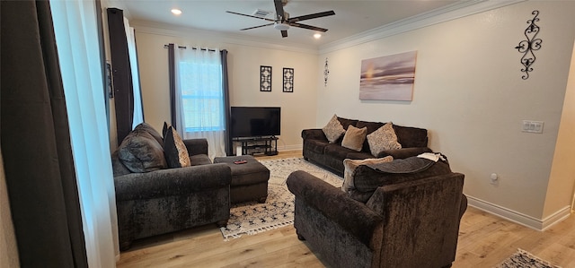 living room featuring ceiling fan, light hardwood / wood-style flooring, and crown molding