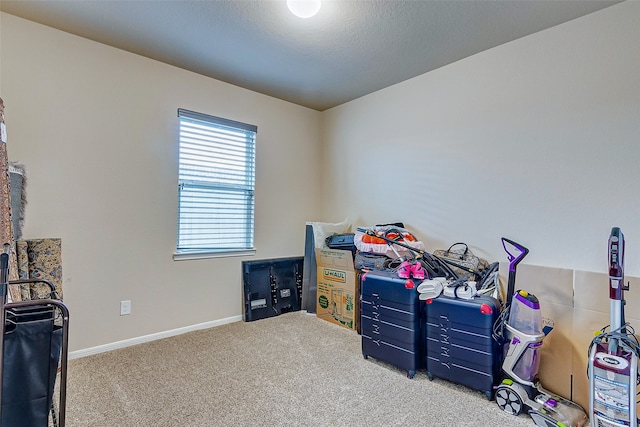 interior space featuring carpet and a textured ceiling