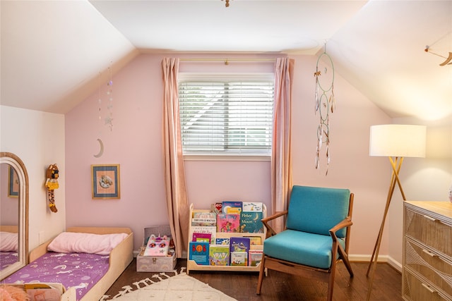 bedroom with lofted ceiling and dark wood-type flooring