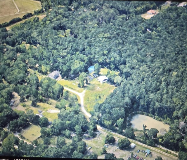 24250 Enloe Rd, Porter, TX 77365