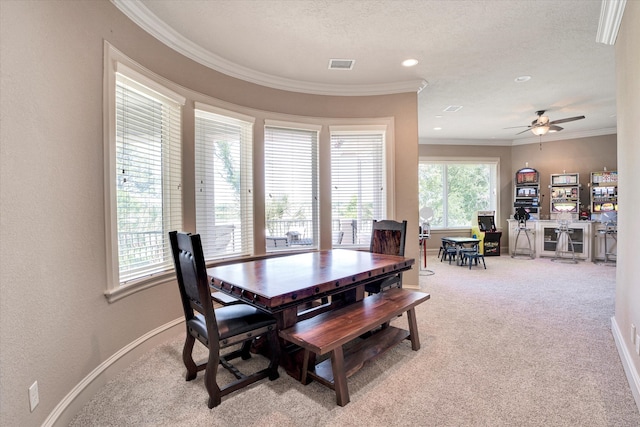 carpeted dining area with ceiling fan, plenty of natural light, a textured ceiling, and crown molding