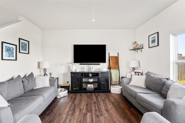 living area featuring dark wood-type flooring