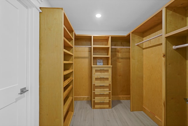 spacious closet with hardwood / wood-style flooring