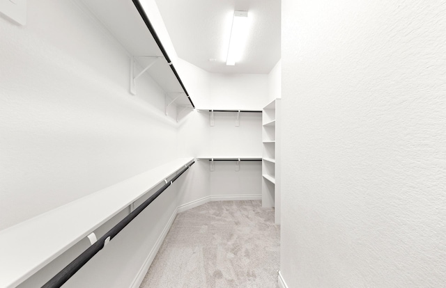 walk in closet with light carpet