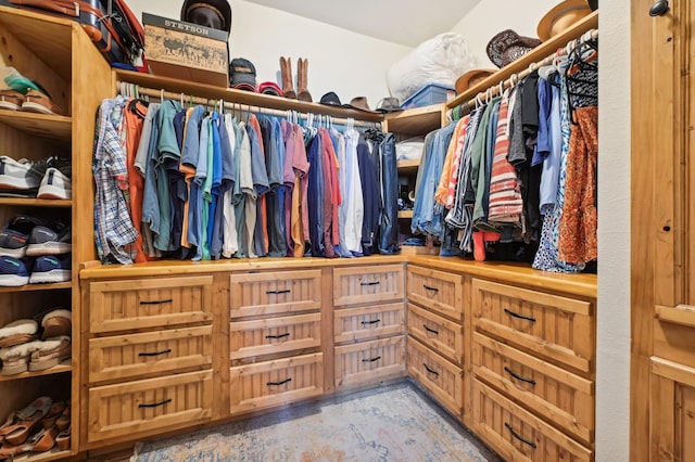 view of spacious closet