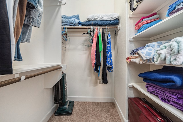 spacious closet with carpet floors