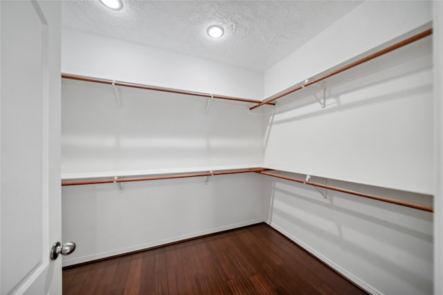 walk in closet with dark hardwood / wood-style floors