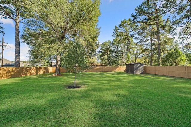 view of yard with a shed