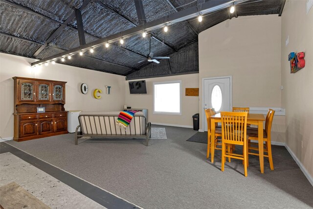 161 Cayman St, Point Blank, TX 77364 - bedroom featuring baseboards, track lighting, high vaulted ceiling, and carpet floors