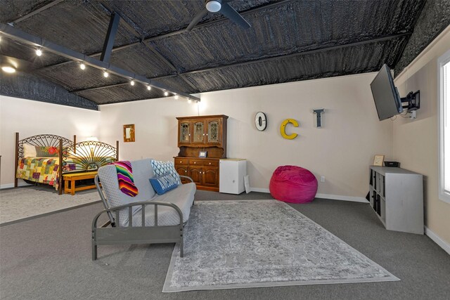 161 Cayman St, Point Blank, TX 77364 - living area with carpet and baseboards
