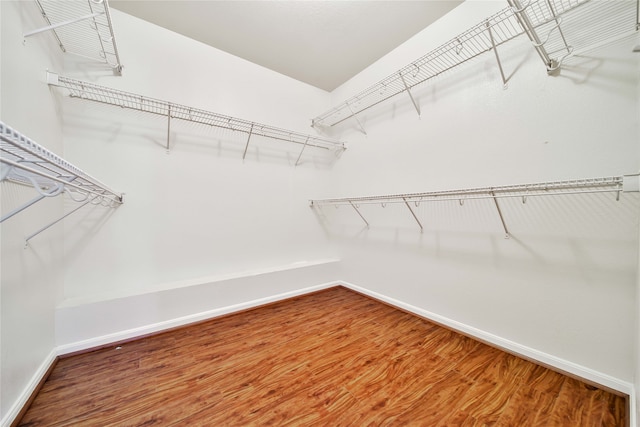 walk in closet with hardwood / wood-style floors