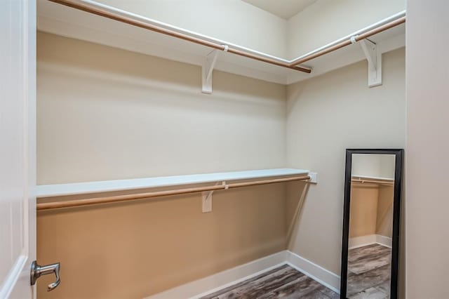 walk in closet featuring wood-type flooring