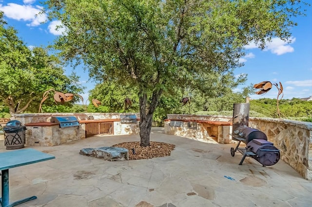 view of patio / terrace with area for grilling and an outdoor kitchen