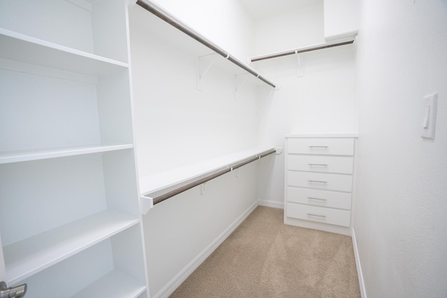 walk in closet with light colored carpet