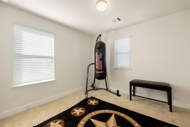 workout area featuring a wealth of natural light and light carpet