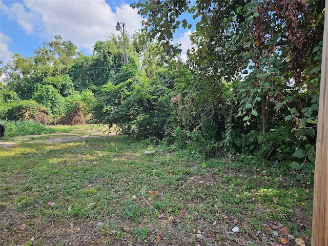 4410 Yale St, Houston, TX 77018