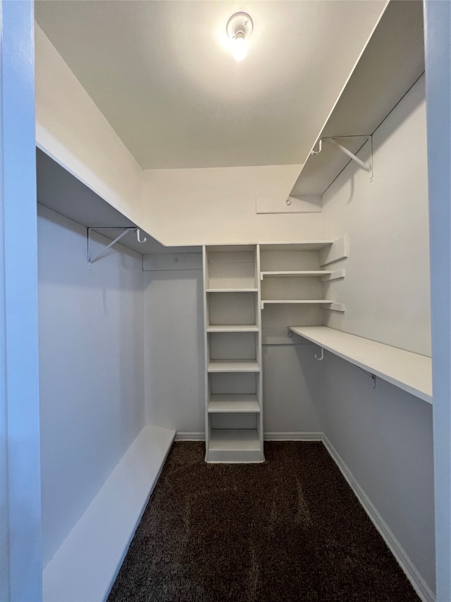 spacious closet with dark colored carpet