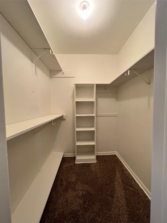 walk in closet featuring carpet floors