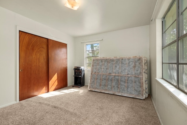 sitting room featuring carpet floors