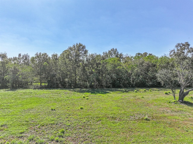 300 W Edgewood Dr, Friendswood, TX 77546 - photo 8