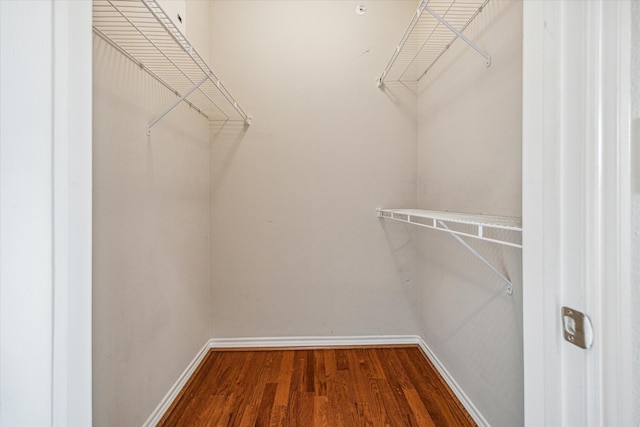 spacious closet with hardwood / wood-style floors