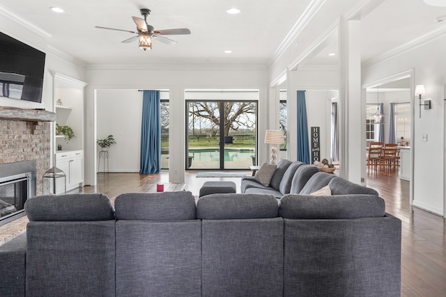 living room featuring ceiling fan, dark wood-type flooring, and crown molding