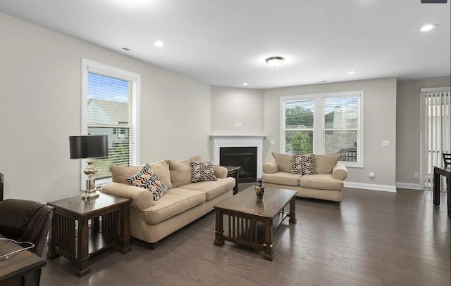 living room with dark hardwood / wood-style floors