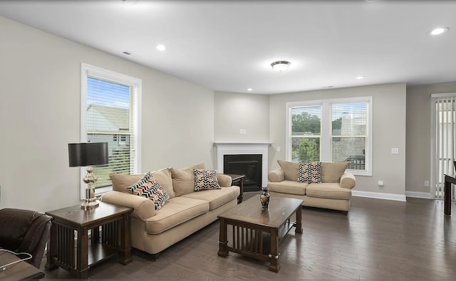 living room featuring dark hardwood / wood-style flooring