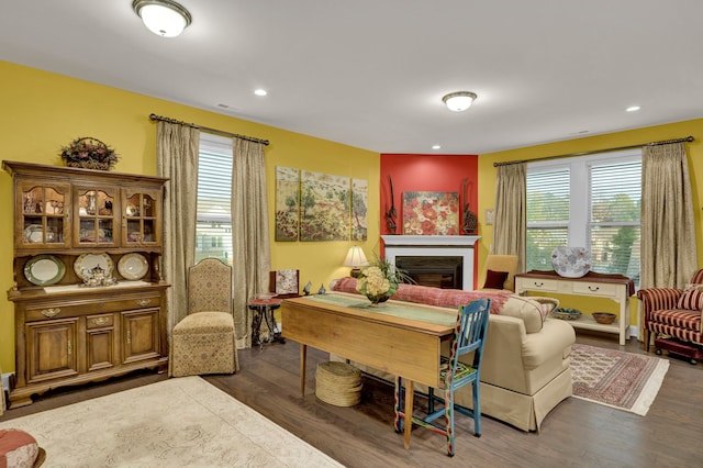 sitting room featuring dark wood-type flooring