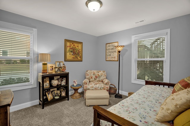 bedroom featuring carpet floors