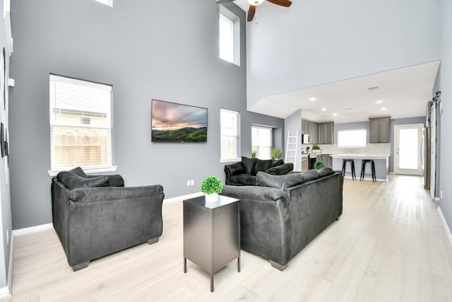 living room featuring plenty of natural light, light hardwood / wood-style floors, and a high ceiling