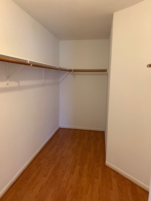 walk in closet with light wood-type flooring