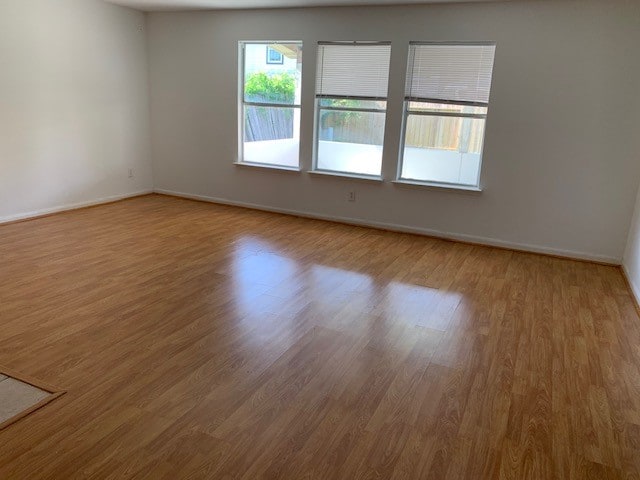 empty room featuring light wood-type flooring