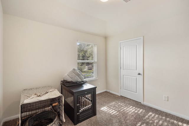 interior space with carpet floors