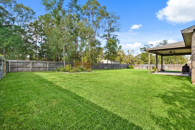 view of yard featuring a patio area and ceiling fan