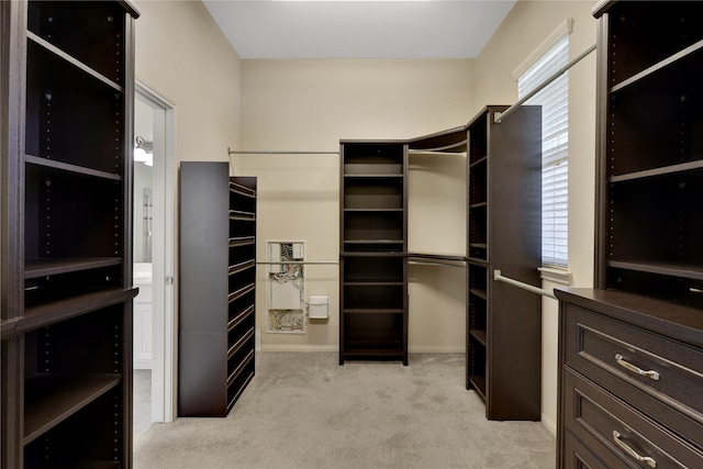 19815 Stanton Lake Dr, Cypress, TX 77433 - spacious closet featuring light colored carpet