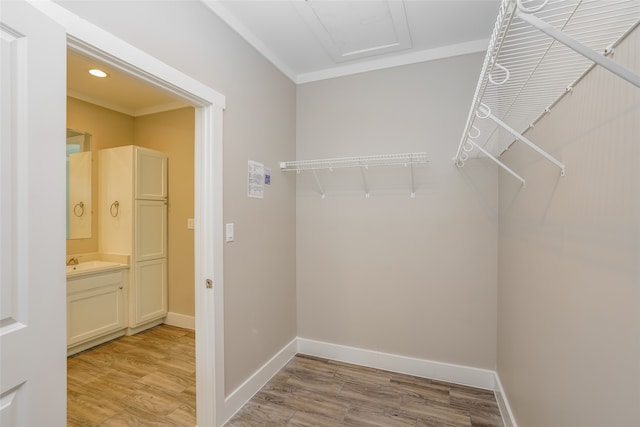 spacious closet with light hardwood / wood-style flooring and sink