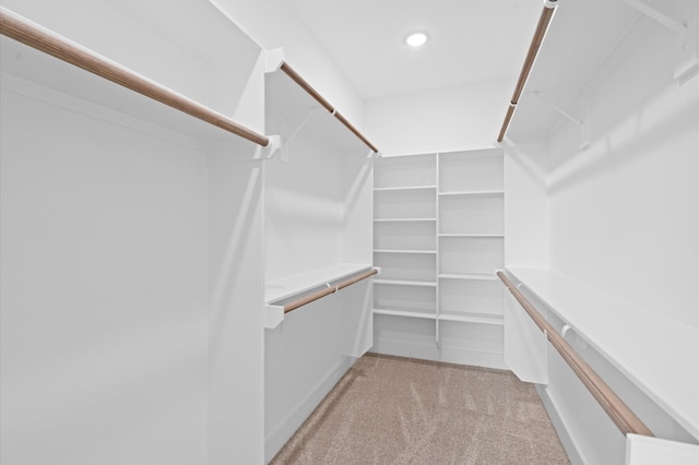 spacious closet featuring light carpet