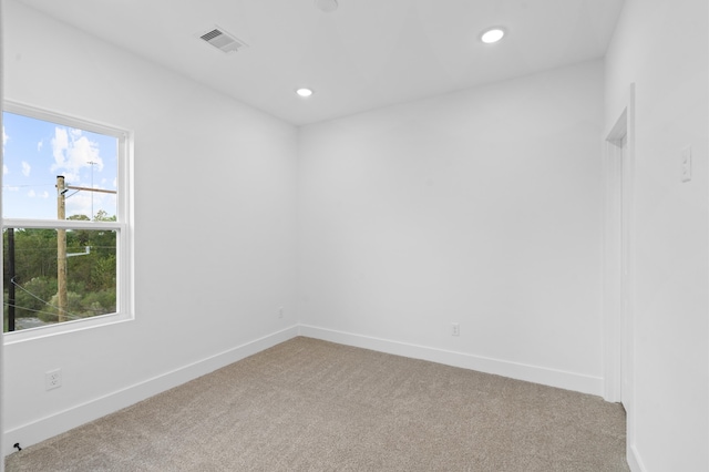 carpeted spare room with a wealth of natural light