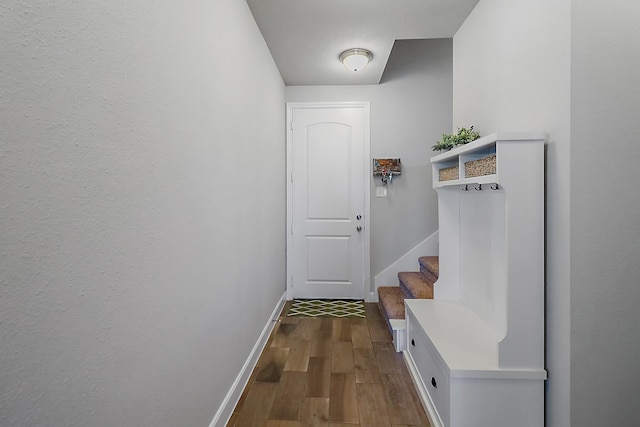 mudroom with dark hardwood / wood-style flooring