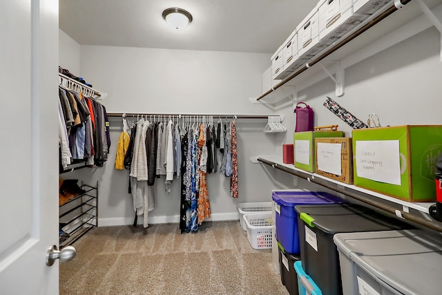 spacious closet with light carpet