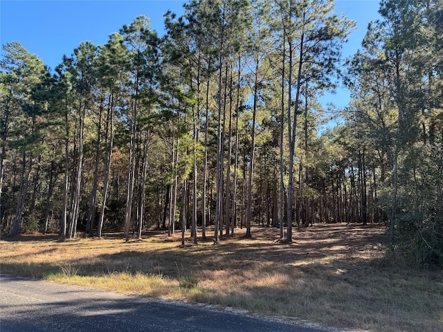 278 Texas Grand Rd, Huntsville TX, 77340 land for sale