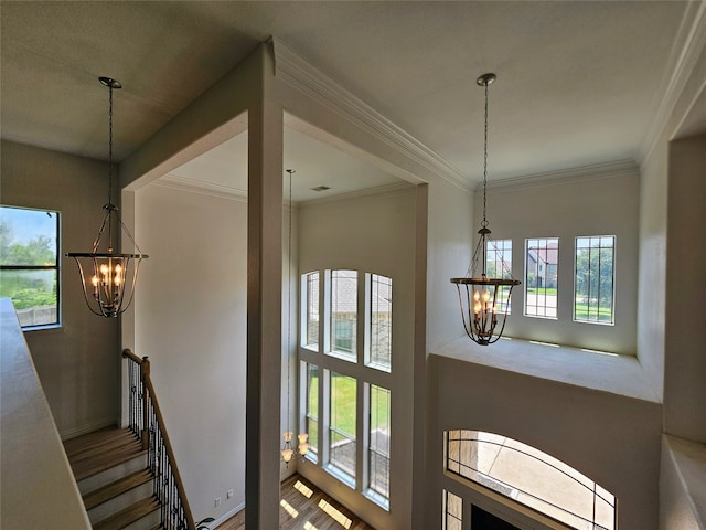 interior space featuring crown molding and a healthy amount of sunlight