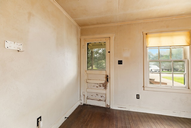 interior space with crown molding and dark hardwood / wood-style flooring