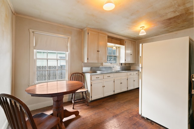 kitchen featuring a wealth of natural light, stainless steel counters, white fridge, and dark wood-type flooring