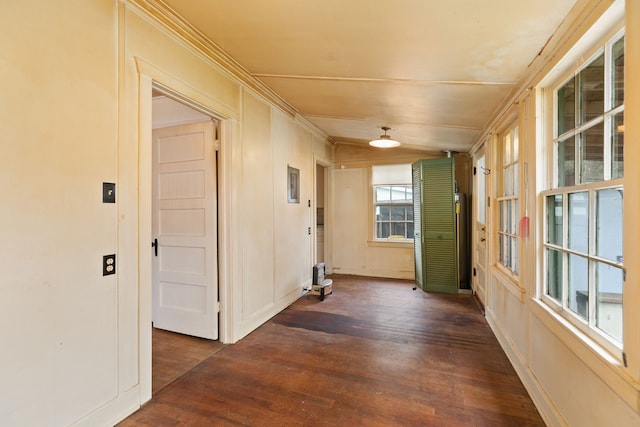 hallway with crown molding and dark wood-type flooring