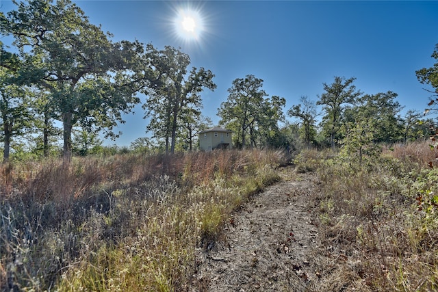 TBD Burr Oak Ln, Somerville TX, 77879 land for sale