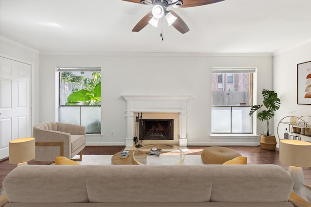 living room featuring dark hardwood / wood-style flooring, a wealth of natural light, and ornamental molding