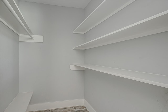 spacious closet featuring wood-type flooring