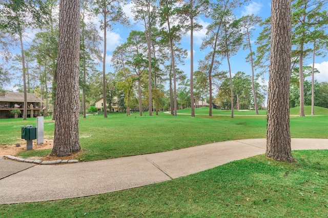 view of community featuring a yard